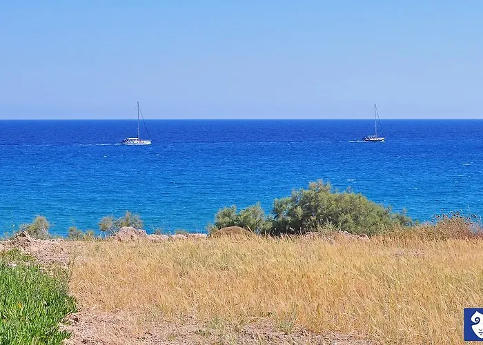 Nine Muses Psathadika